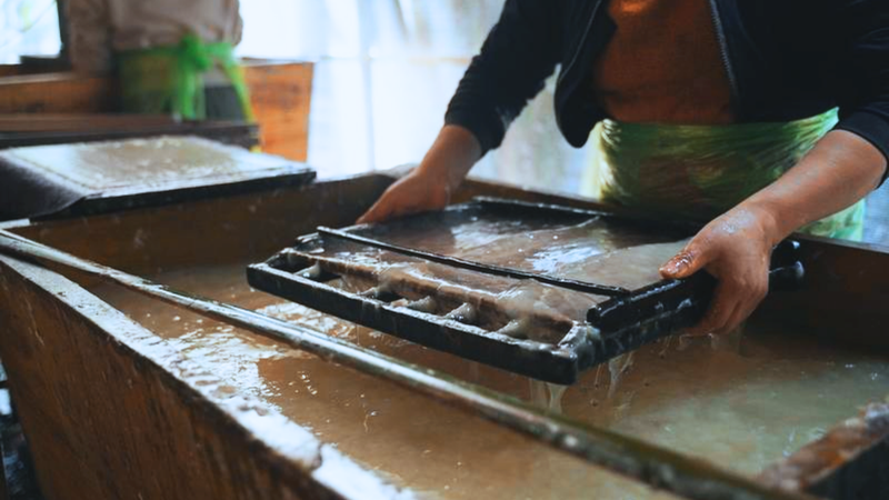 Experience making Do paper (2)